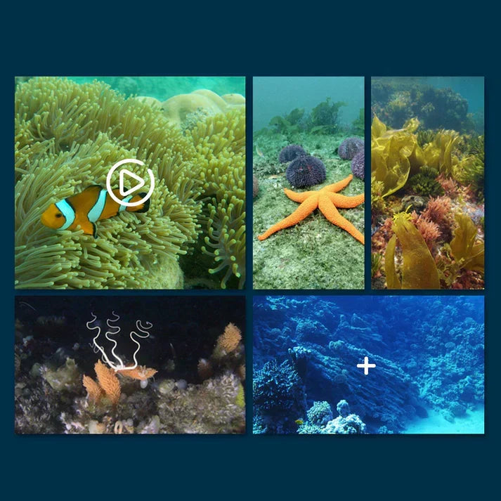 50% off this week! 🎉🎉 MantaVision – The app-controlled surface drone for exploring bodies of water