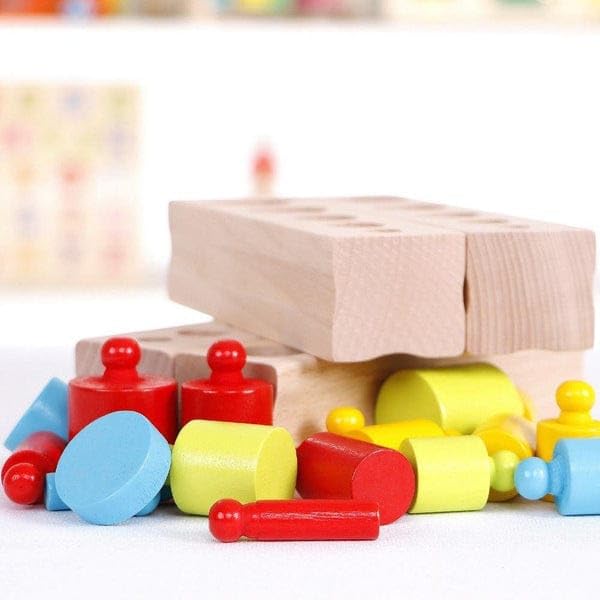 Montessori Early Education Teaching Aids