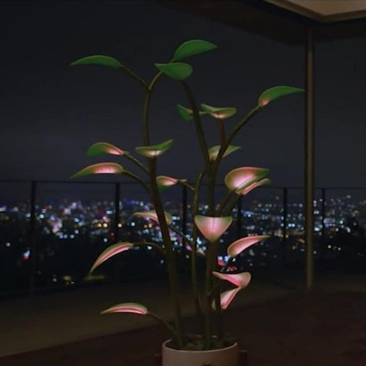 Magic Plant Light