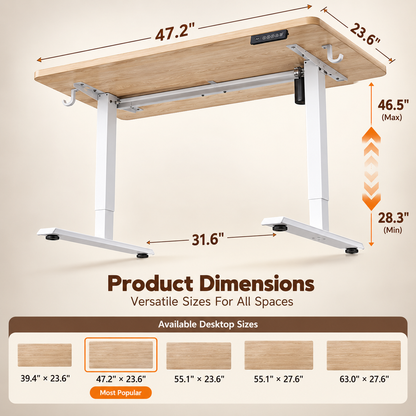 Standing Desk 48 × 24 Inch Electric Height Adjustable
