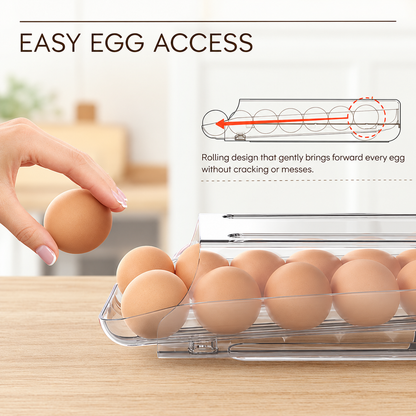 Egg Holder for Fridge