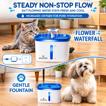 Cat Water Fountain