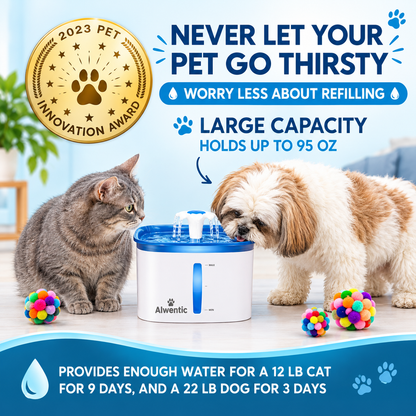 Cat Water Fountain