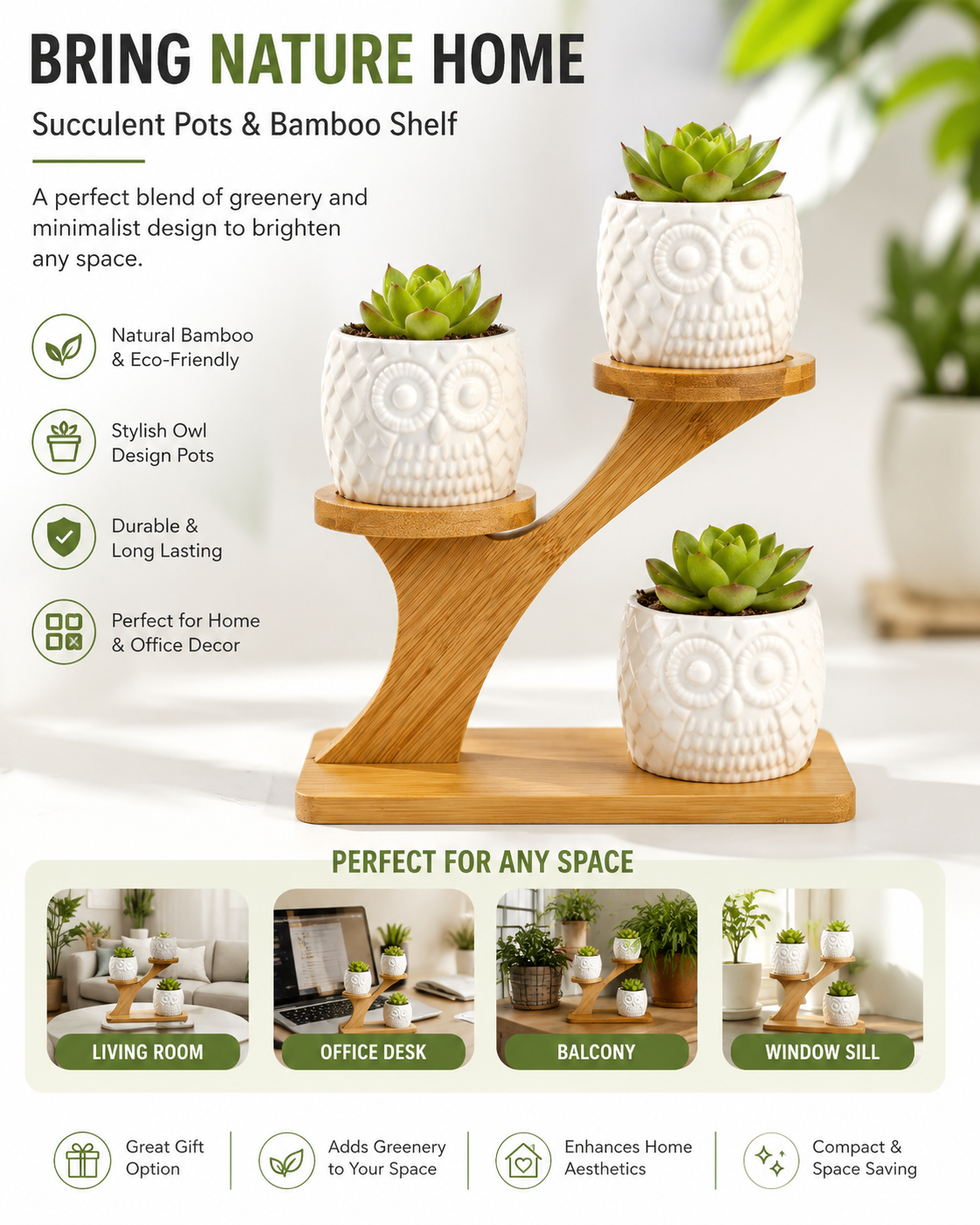 Succulent Pots & Bamboo Shelf