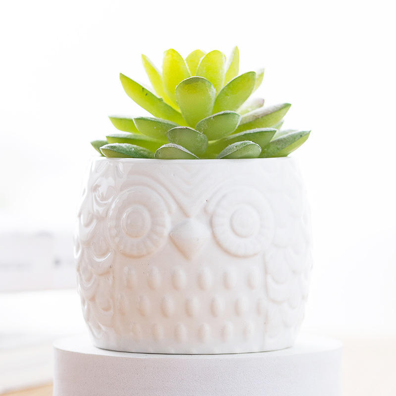 Succulent Pots & Bamboo Shelf