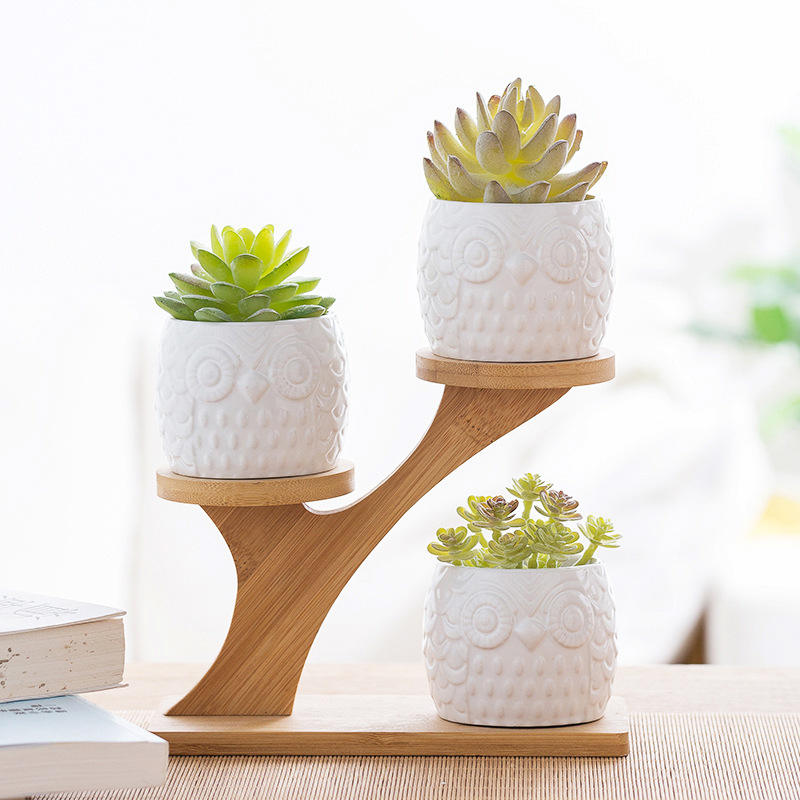 Succulent Pots & Bamboo Shelf