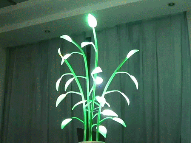 Magic Plant Light