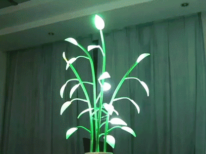 Magic Plant Light