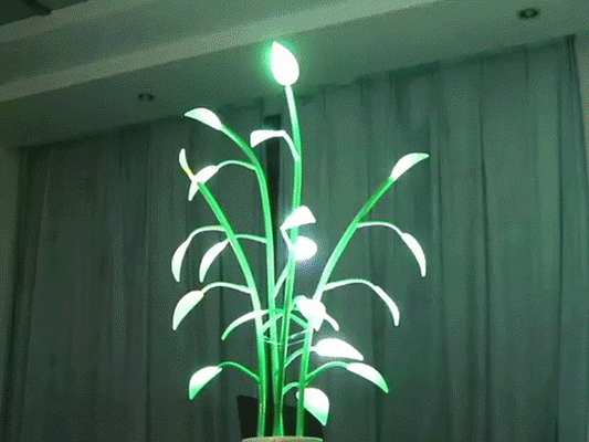 Magic Plant Light