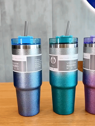 Stainless Steel Water Bottle with Straw - Tumbler